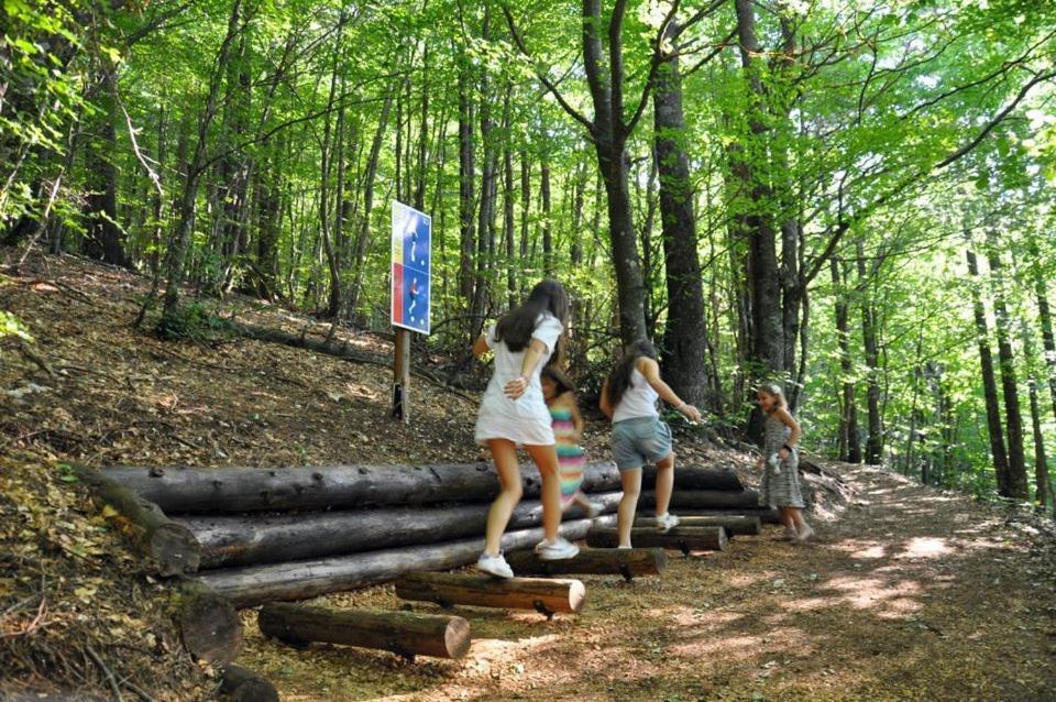 Hotel Snjezna Kuca - Nature Park Of Bosnia Herzegovina Padezina 外观 照片