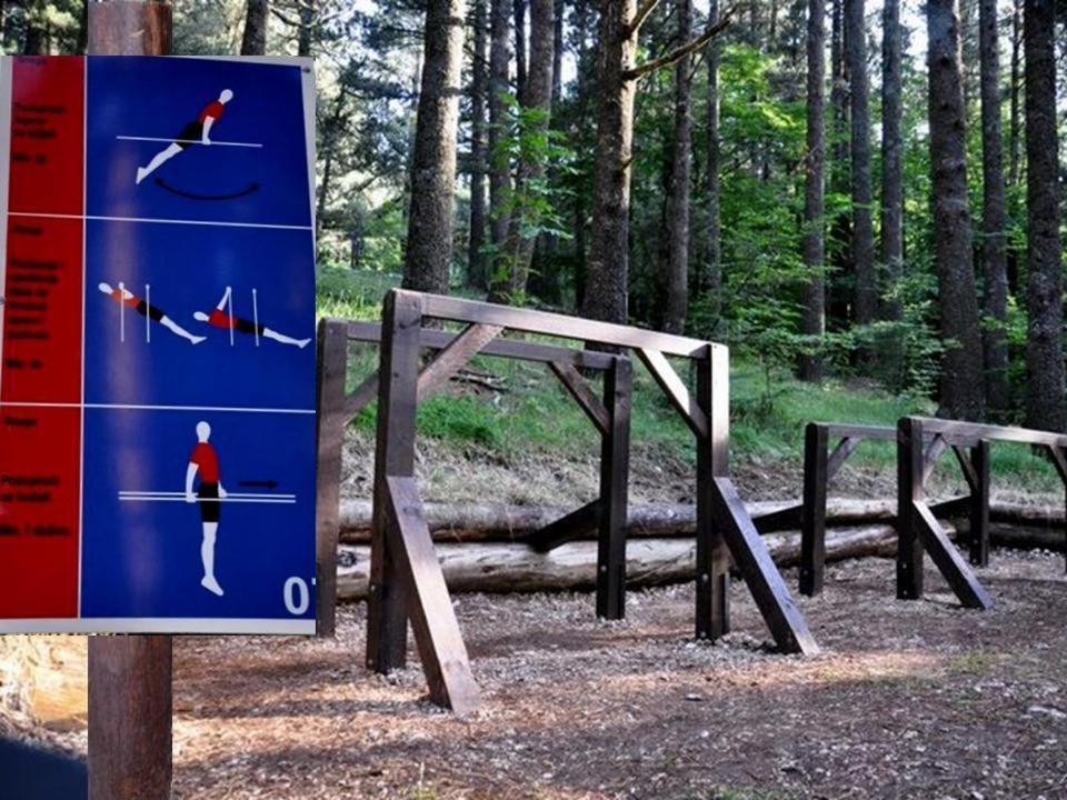 Hotel Snjezna Kuca - Nature Park Of Bosnia Herzegovina Padezina 外观 照片