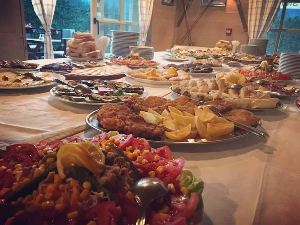 Hotel Snjezna Kuca - Nature Park Of Bosnia Herzegovina Padezina 外观 照片