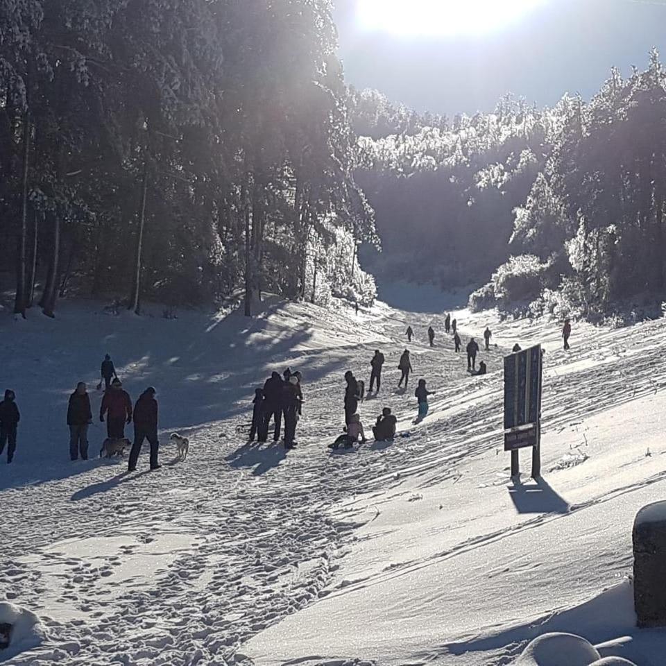 Hotel Snjezna Kuca - Nature Park Of Bosnia Herzegovina Padezina 外观 照片