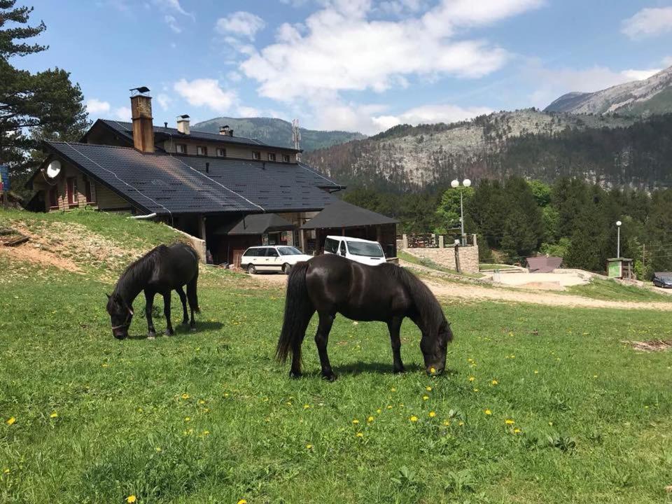 Hotel Snjezna Kuca - Nature Park Of Bosnia Herzegovina Padezina 外观 照片
