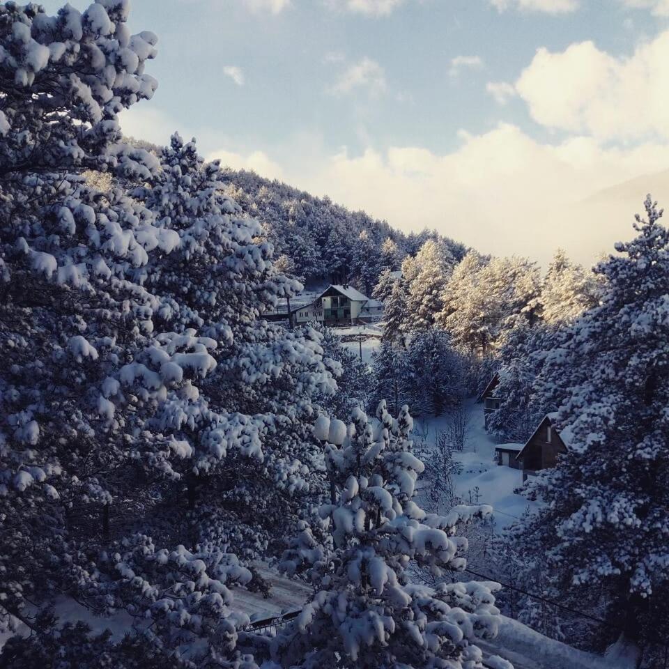 Hotel Snjezna Kuca - Nature Park Of Bosnia Herzegovina Padezina 外观 照片