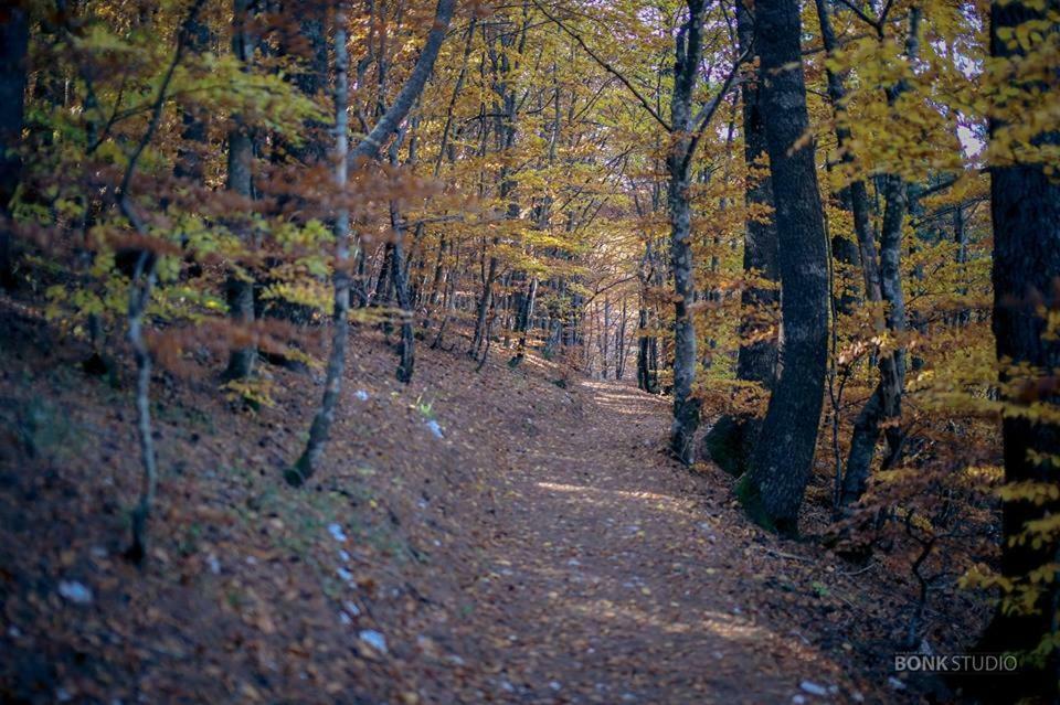 Hotel Snjezna Kuca - Nature Park Of Bosnia Herzegovina Padezina 外观 照片
