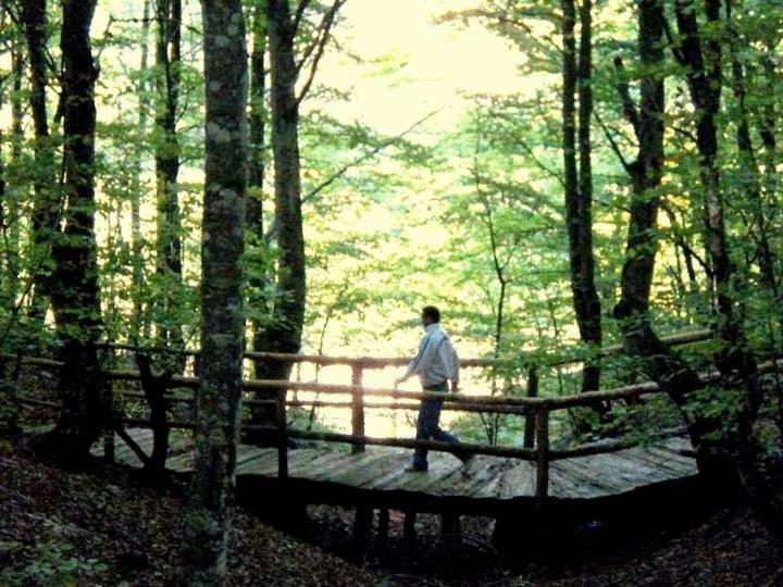 Hotel Snjezna Kuca - Nature Park Of Bosnia Herzegovina Padezina 外观 照片